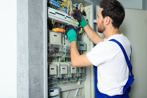 Best Local Electrician Companies  in Aquebogue, NY